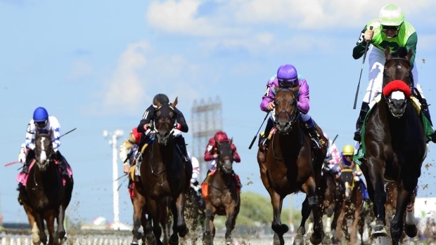 Racing at Woodbine Racetrack