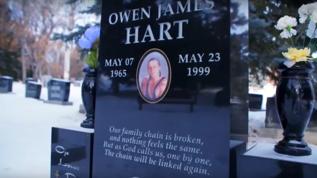 Owen Hart cemetary, Viceland Owen Hart cemetary