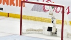 NHL Net 