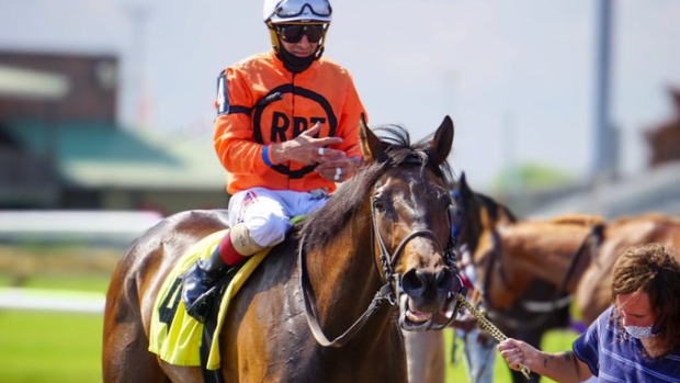 Have a Souper Day, Twitter/@WoodbineTB Have a Souper Day