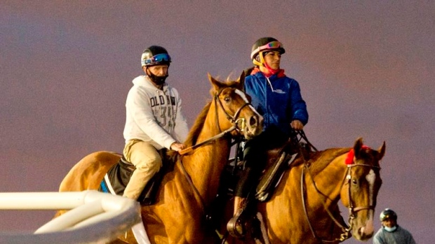 Queen's Plate contender Curlin's Voyage, The Canadian Press Queen's Plate contender Curlin's Voyage