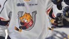 Photo: Barrie Colts, License: N/A Barrie Colts