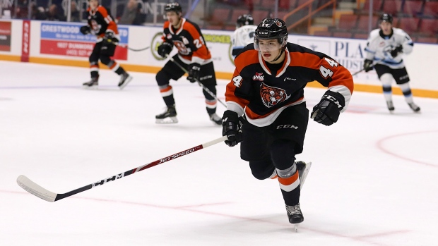 Cole Sillinger , Medicine Hat Tigers Cole Sillinger