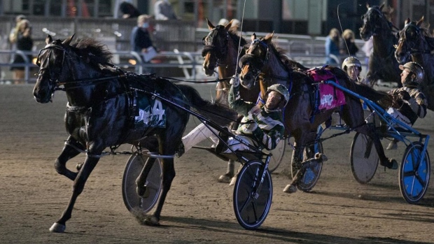 Standardbred horse racing