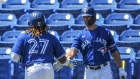 Randal Grichuk and Vladimir Guerrero Jr. 