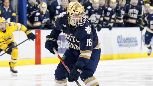 Alex Steeves, Scott W. Grau/Icon Sportswire via Getty Images Alex Steeves