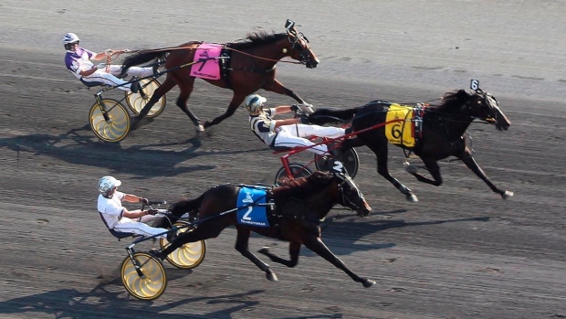 Harness racing, The Canadian Press Harness racing