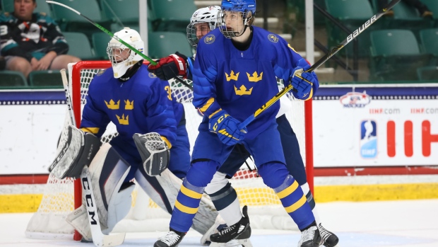 Simon Edvinsson, IIHF / HHOF Simon Edvinsson
