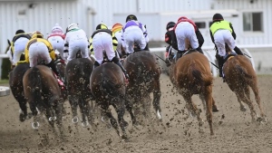 Filly Moira installed as early 5-2 favourite for $1M Queen’s Plate