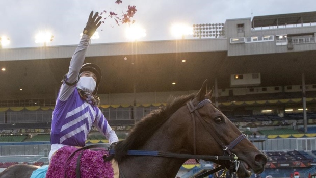 Luis Contreras, Belichick celebrate after Breeder's Stakes, The Canadian Press Luis Contreras, Belichick celebrate after Breeder's Stakes