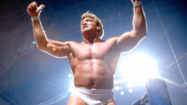 Paul Orndorff, World Wrestling Entertainment Paul Orndorff
