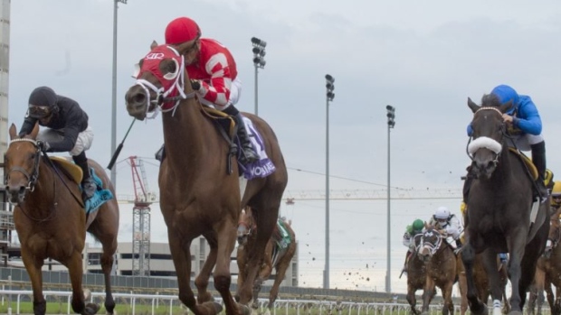 Munnyfor Ro , Michael Burns via Woodbine.com Munnyfor Ro