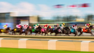 Queen's Plate win would be crowning achievement for trainer Attard