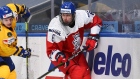 Photo: HHOF/IIHF Images, License: N/A, Created: 2020:12:26 12:25:10 David Jiricek