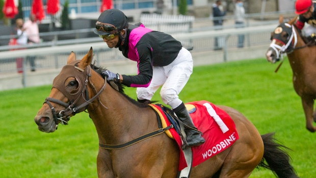 Patrick Husbands guides 24/1 longshot British Royalty, The Canadian Press Patrick Husbands guides 24/1 longshot British Royalty