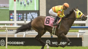 Jason Portuondo’s picks for Racing Night Live - Oct. 8