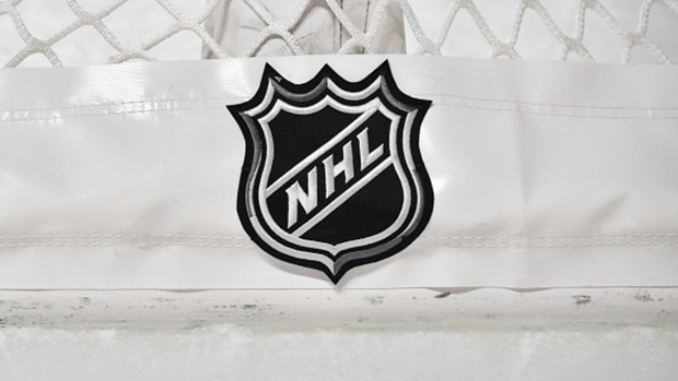 NHL logo net