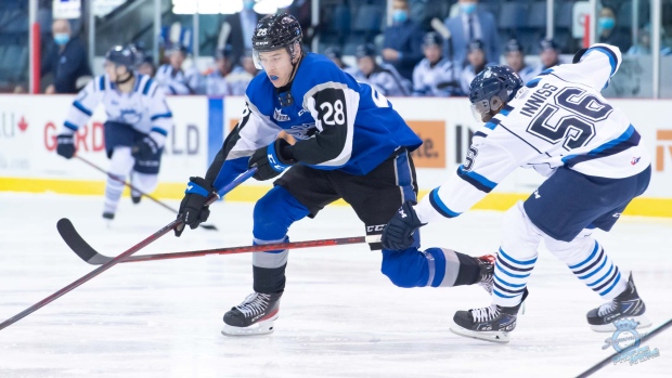 William Dufour Christopher Inniss, André Emond/ QMJHL William Dufour Christopher Inniss