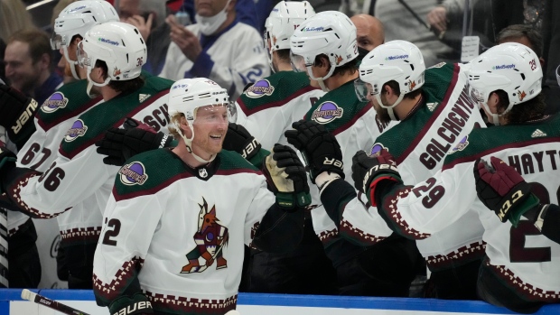 Arizona Coyotes celebrate