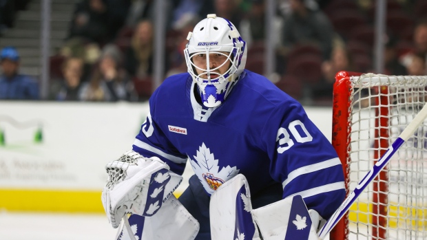 Toronto Marlies gear up for playoff run after NHL trade deadline