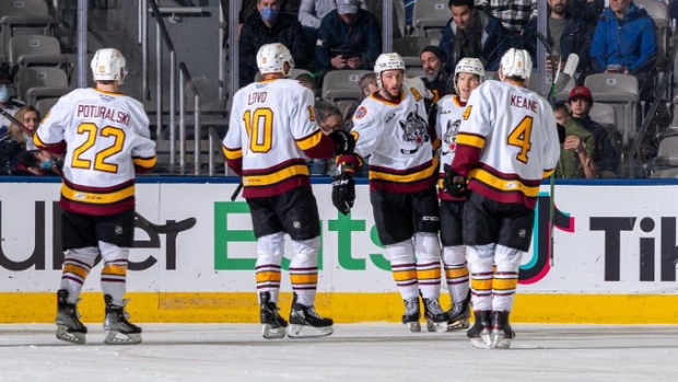 Chicago Wolves