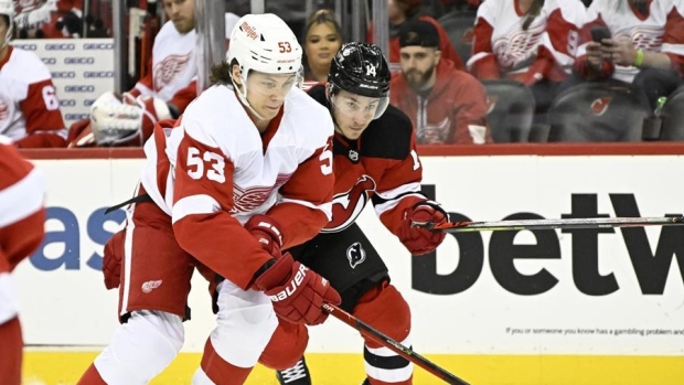 Here's why you should never try to hit Red Wings Defenseman Mo Seider