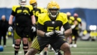 Photo: CFL, License: N/A Rodeem Brown