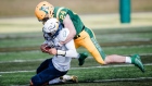 Photo: University of Alberta Golden bears, License: N/A Josiah Schakel