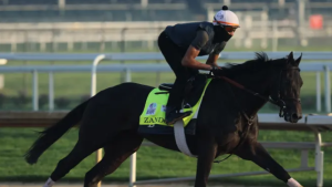 Zandon a 3-1 favourite for Kentucky Derby on TSN