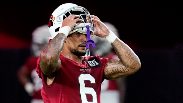 james conner arizona cardinals