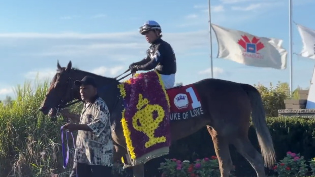 Stein earns first Prince of Wales Stakes win aboard Duke of Love