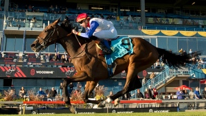 Sir for Sure impresses in winning Breeders' Stakes