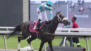 Queen's Plate champion Moira to run in $750,000 E.P. Taylor Stakes event