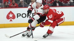 Senators-Red Wings game postponed due to severe winter storm brewing in Ontario Article Image 0
