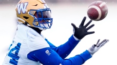 Blue Bombers agree to terms with Canadian fullback Mike Miller Article Image 0