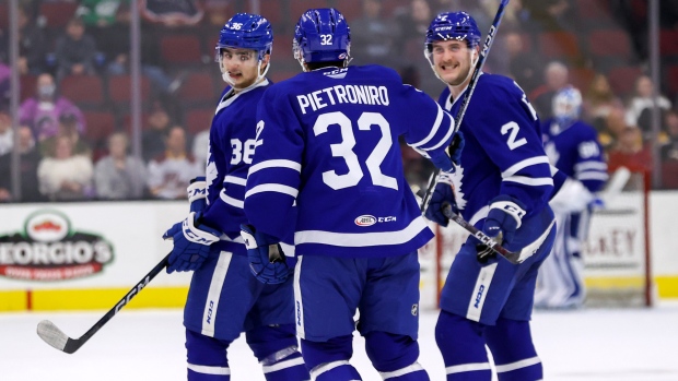 Toronto Marlies celebrate, Getty Images Toronto Marlies celebrate