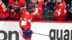 Anthony Duclair