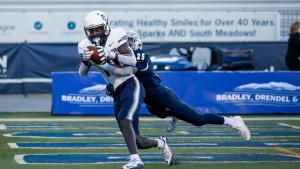 Ticats rookie WR McGriff likely to miss season