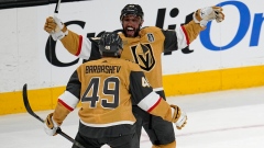 Alec Martinez Ivan Barbashev
