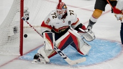 Sergei Bobrovsky