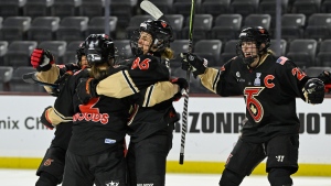 New pro women’s hockey league to launch in January after deal with Dodgers co-owner
