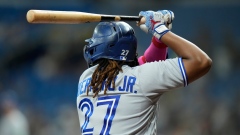 Vladimir Guerrero Jr.