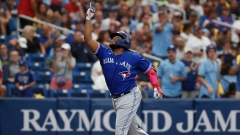 Vladimir Guerrero Jr.