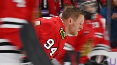 Corey Perry