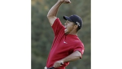 Column: Tiger Woods and Nike was a partnership for a lifetime until it wasn't Article Image 0