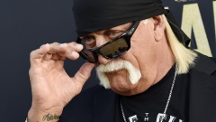 Wrestler Hulk Hogan helps rescue teenage girl trapped after Florida car crash Article Image 0