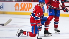 Brendan Gallagher - Getty Images