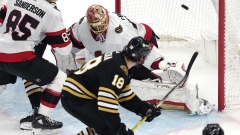 Senators beat Bruins 3-1 in regular-season finale Article Image 0