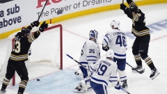 Boston Bruins celebrate goal