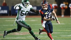 Third-string quarterback Davis Alexander rallies Alouettes past Roughriders 20-16 Article Image 0